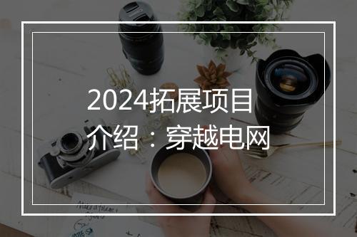 2024拓展项目介绍：穿越电网