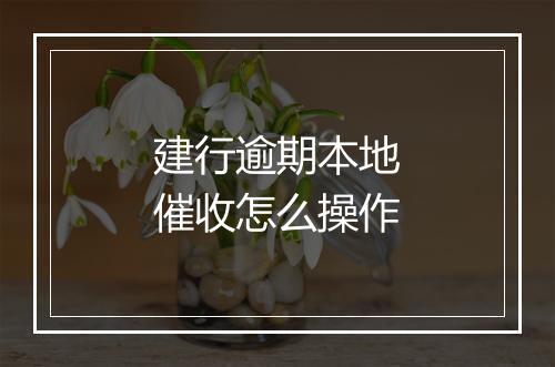 建行逾期本地催收怎么操作