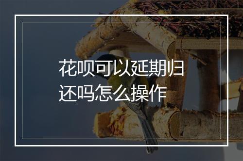 花呗可以延期归还吗怎么操作