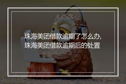 珠海美团借款逾期了怎么办,珠海美团借款逾期后的处置