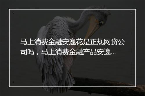 马上消费金融安逸花是正规网贷公司吗，马上消费金融产品安逸花
