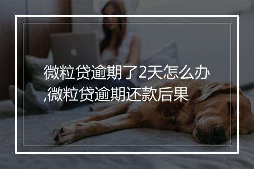 微粒贷逾期了2天怎么办,微粒贷逾期还款后果