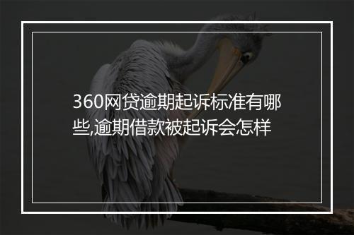 360网贷逾期起诉标准有哪些,逾期借款被起诉会怎样