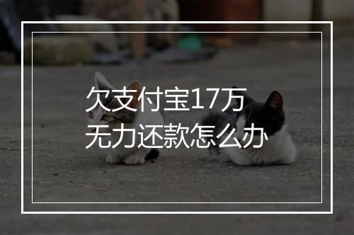欠支付宝17万无力还款怎么办