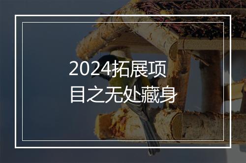 2024拓展项目之无处藏身