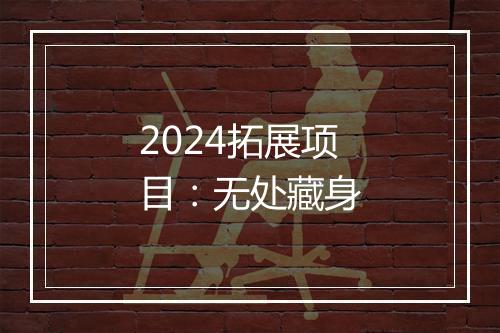 2024拓展项目：无处藏身