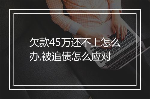 欠款45万还不上怎么办,被追债怎么应对