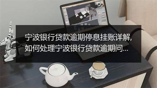 宁波银行贷款逾期停息挂账详解,如何处理宁波银行贷款逾期问题
