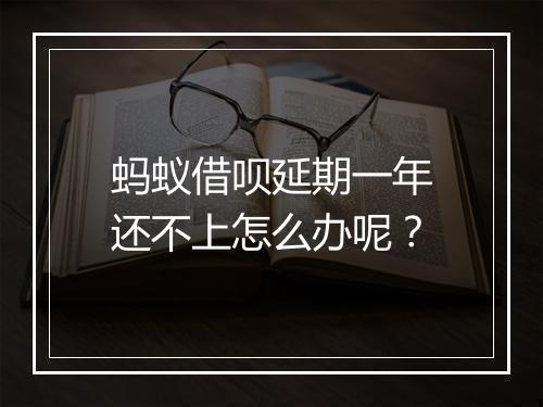 蚂蚁借呗延期一年还不上怎么办呢？