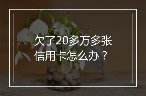 欠了20多万多张信用卡怎么办？