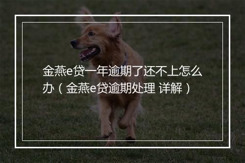 金燕e贷一年逾期了还不上怎么办（金燕e贷逾期处理 详解）
