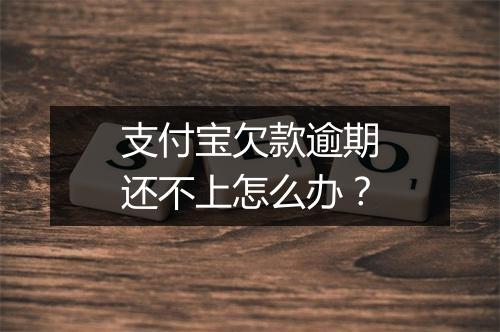 支付宝欠款逾期还不上怎么办？