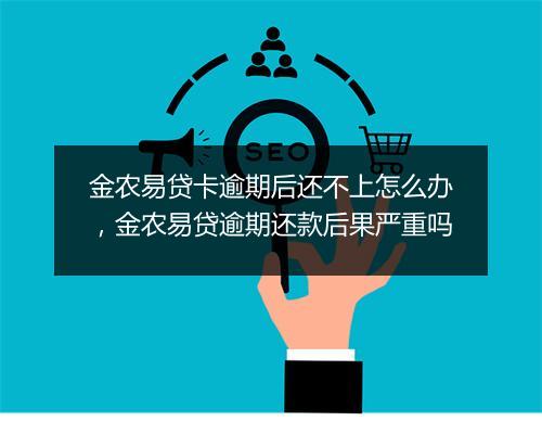 金农易贷卡逾期后还不上怎么办，金农易贷逾期还款后果严重吗