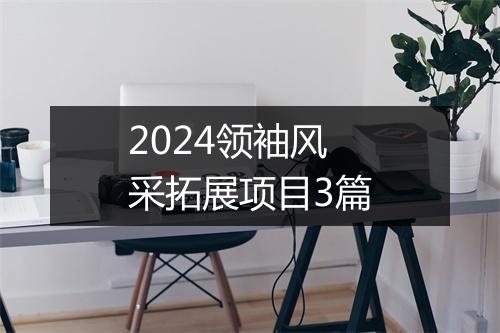 2024领袖风采拓展项目3篇
