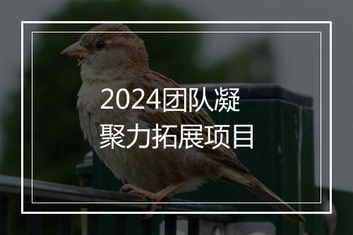2024团队凝聚力拓展项目