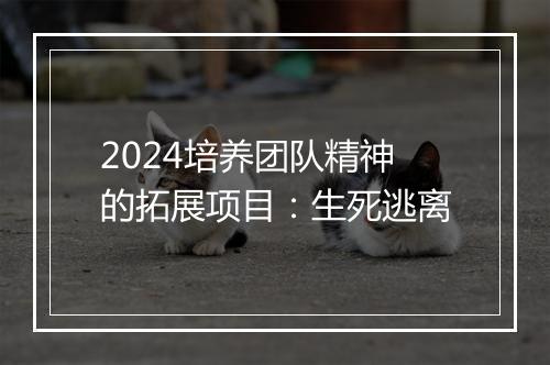 2024培养团队精神的拓展项目：生死逃离