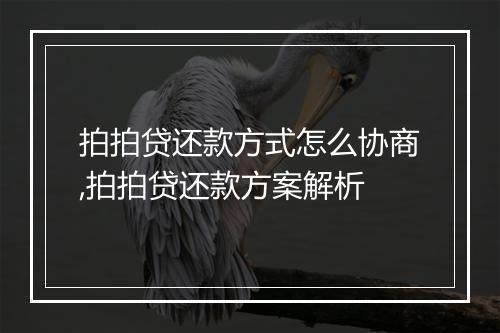 拍拍贷还款方式怎么协商,拍拍贷还款方案解析
