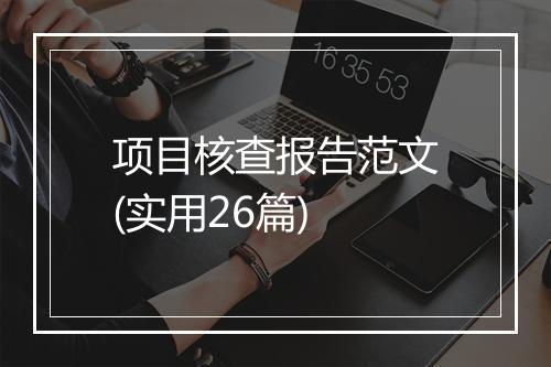 项目核查报告范文(实用26篇)