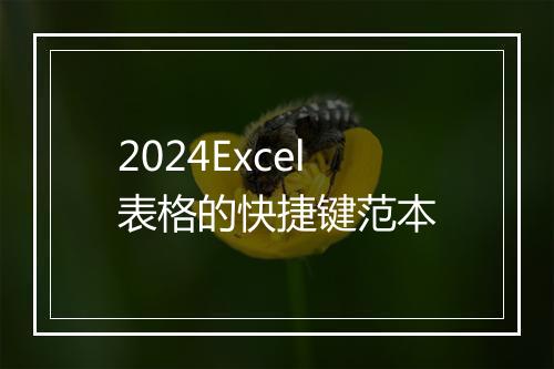 2024Excel表格的快捷键范本