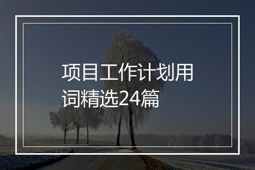 项目工作计划用词精选24篇