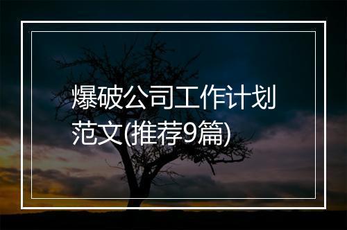 爆破公司工作计划范文(推荐9篇)