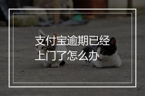 支付宝逾期已经上门了怎么办