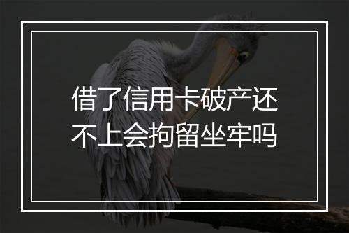 借了信用卡破产还不上会拘留坐牢吗
