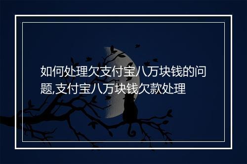 如何处理欠支付宝八万块钱的问题,支付宝八万块钱欠款处理