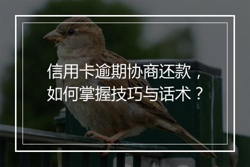 信用卡逾期协商还款，如何掌握技巧与话术？