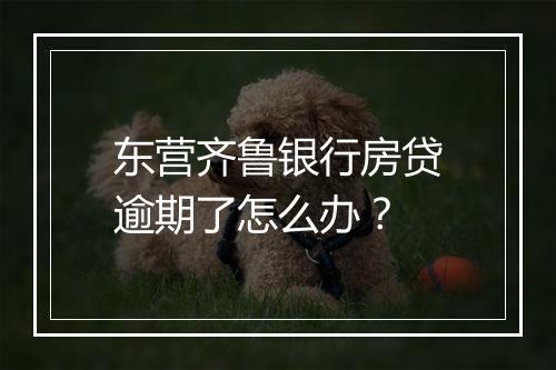 东营齐鲁银行房贷逾期了怎么办？
