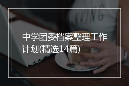 中学团委档案整理工作计划(精选14篇)