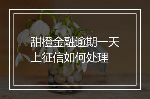 甜橙金融逾期一天上征信如何处理