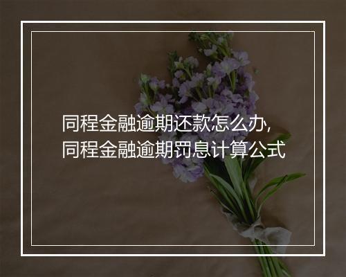 同程金融逾期还款怎么办,同程金融逾期罚息计算公式