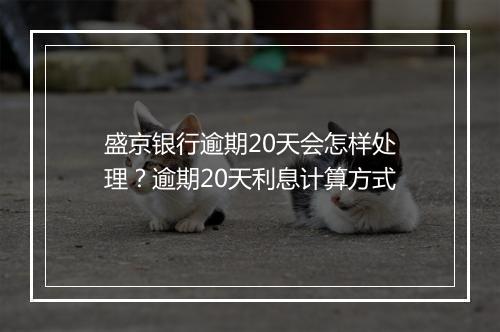 盛京银行逾期20天会怎样处理？逾期20天利息计算方式