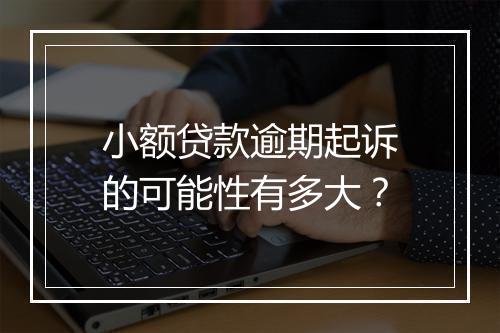 小额贷款逾期起诉的可能性有多大？