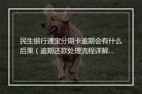 民生银行通宝分期卡逾期会有什么后果（逾期还款处理流程详解）