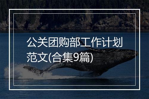 公关团购部工作计划范文(合集9篇)