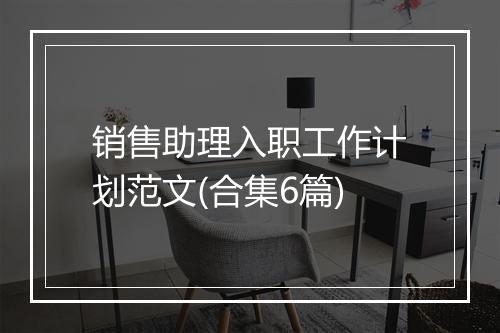销售助理入职工作计划范文(合集6篇)