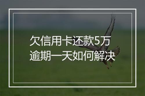 欠信用卡还款5万逾期一天如何解决