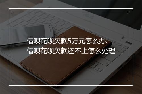 借呗花呗欠款5万元怎么办,借呗花呗欠款还不上怎么处理