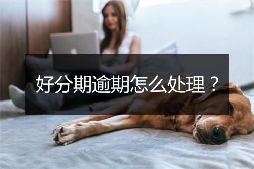 好分期逾期怎么处理？