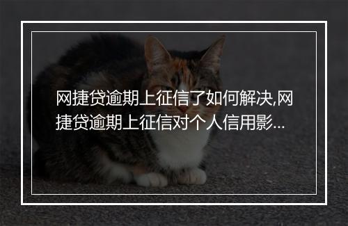 网捷贷逾期上征信了如何解决,网捷贷逾期上征信对个人信用影响大吗