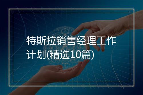 特斯拉销售经理工作计划(精选10篇)
