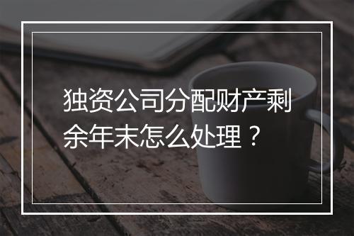 独资公司分配财产剩余年末怎么处理？