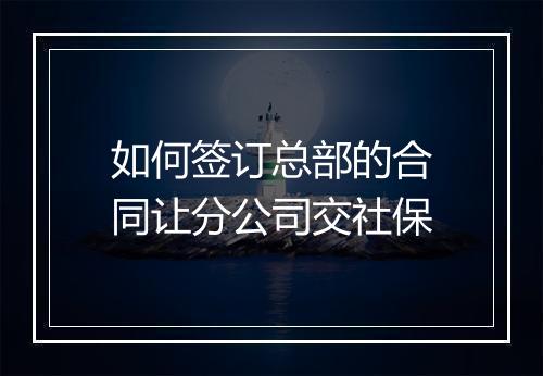如何签订总部的合同让分公司交社保