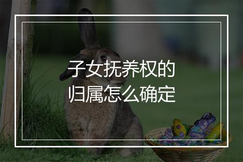 子女抚养权的归属怎么确定