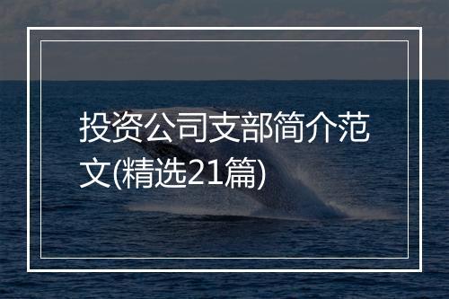 投资公司支部简介范文(精选21篇)