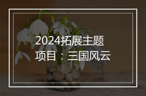 2024拓展主题项目：三国风云