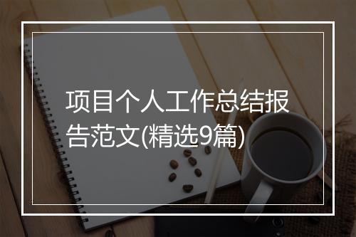 项目个人工作总结报告范文(精选9篇)