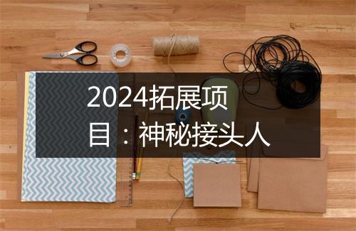 2024拓展项目：神秘接头人